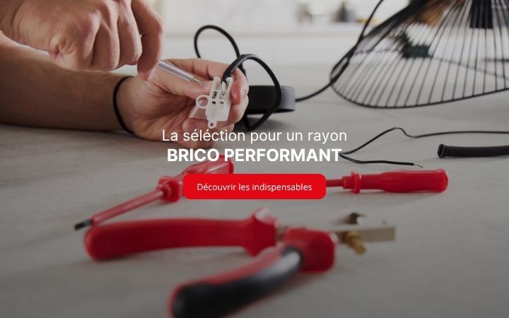 BRICO PERFORMANT