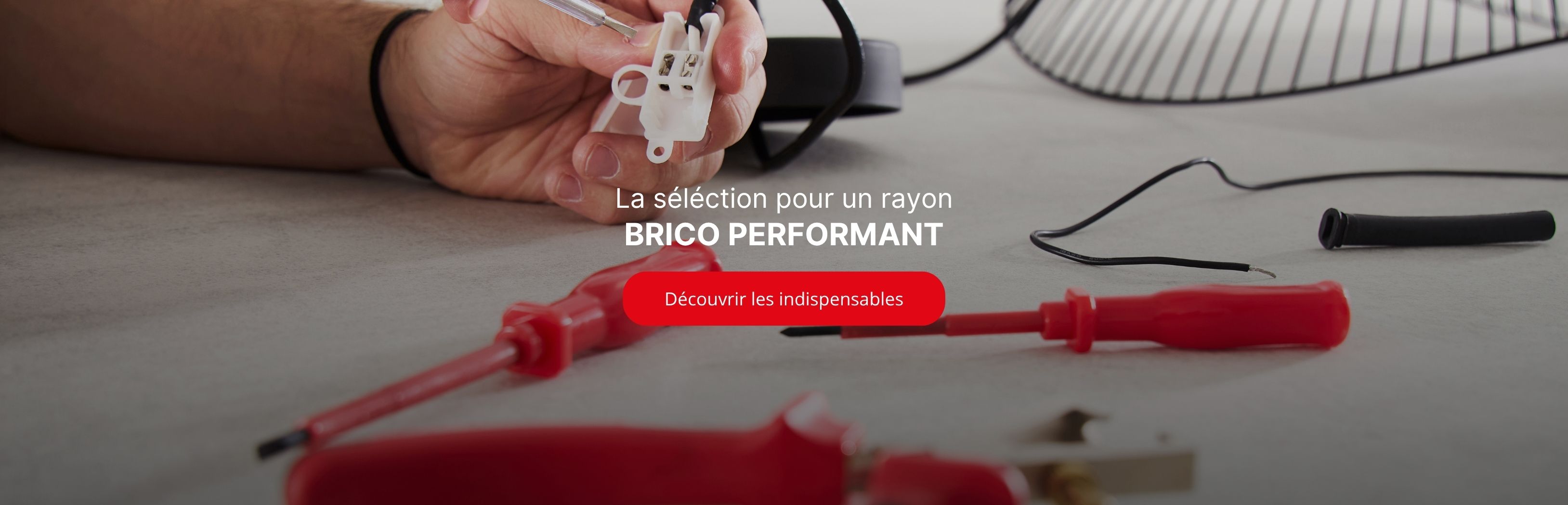 BRICO PERFORMANT